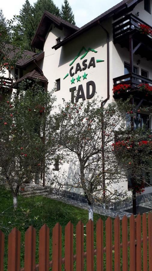 فندق Casa Tad بوستين المظهر الخارجي الصورة